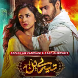 Dramas pakistaníes más vistos de 2023 cover