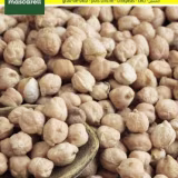 Mejores tiendas online de semillas en España cover