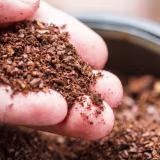 Best alternative uses for stale coffee grounds cover