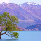 Mejores lagos con paisajes impresionantes en Nueva Zelanda cover