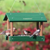 Best online stores for products for bird lovers cover