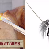 Most memorable weapons of Final Fantasy cover