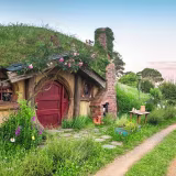 Best New Zealand cinematic tours cover