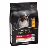 Best dog food with cereals in Spain cover