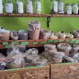 Organic stores in Asturias cover