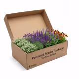 Best online nurseries with shipping to Spain cover