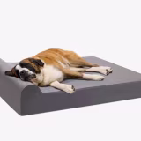 Memory foam mattresses for pets with joint problems cover