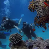 Best diving destinations in Spain cover