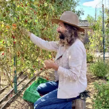 Best edible landscaping companies cover