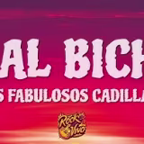 Iconic Latin American ska-rock songs cover