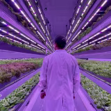 Pioneering agricultural companies in Chile cover