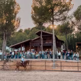 Top equestrian training centers in the Valencian Community cover