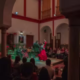 Best flamenco shows in Seville cover