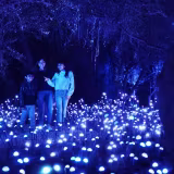 Best light art exhibitions in Mexico City cover