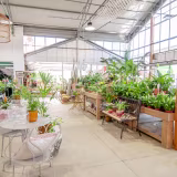 Best garden centers in Leon cover