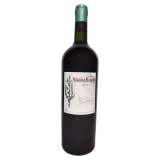 Mejores vinos tintos de Argentina cover