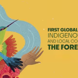Congresos internacionales sobre derechos indígenas cover