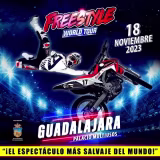 Mejores espectáculos de Freestyle Motocross en España cover