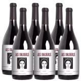 Mejores vinos tintos de Argentina cover