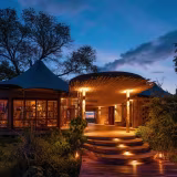 Mejores safaris de lujo en el Delta del Okavango cover