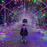 Tours de luces de Navidad en coche en el Condado de York, Carolina del Sur cover
