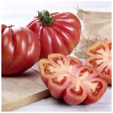Mejores variedades de tomate para cultivo en exterior cover