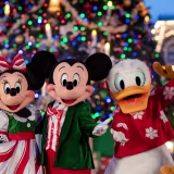 Mejores experiencias para celebrar la Navidad en familia cover