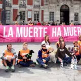 Mejores organizaciones de bienestar animal en España cover
