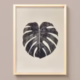 Mejores impresiones de arte botánico moderno cover