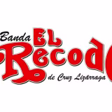 Mejores conciertos de música regional mexicana en España cover