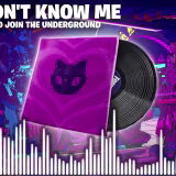 Packs de música de Fortnite de la Temporada 1 del Capítulo 5 cover