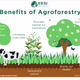 Soluciones para la gestión del riesgo climático en agricultura cover