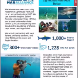 Mejores atolones submarinos del mundo para la conservación marina cover