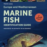 Mejores guías de campo para la identificación de especies marinas cover