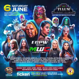 Mejores convenciones de lucha libre en el noreste de EE. UU. cover