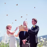 Mejores proveedores de mariposas vivas para eventos en España cover