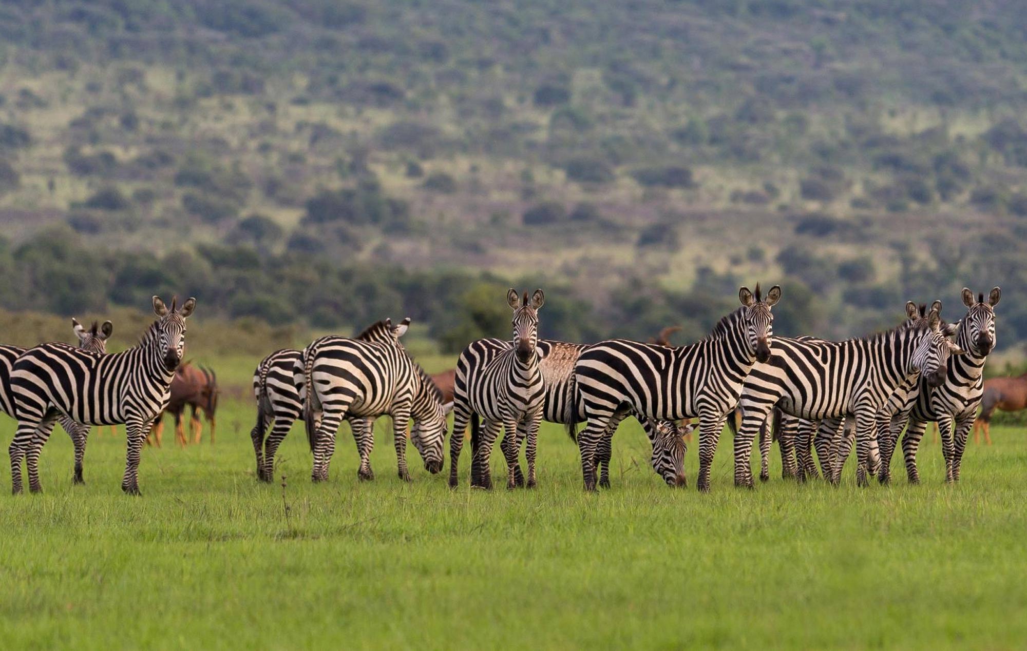 Top Most Breathtaking National Parks in Africa