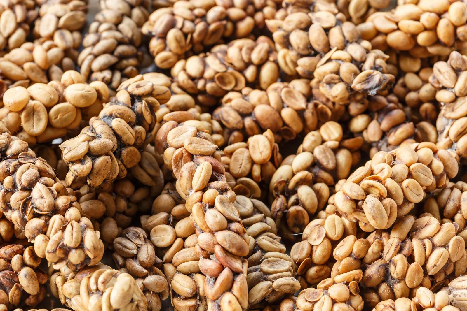 Top ingredientes exóticos y poco comunes en la cocina global