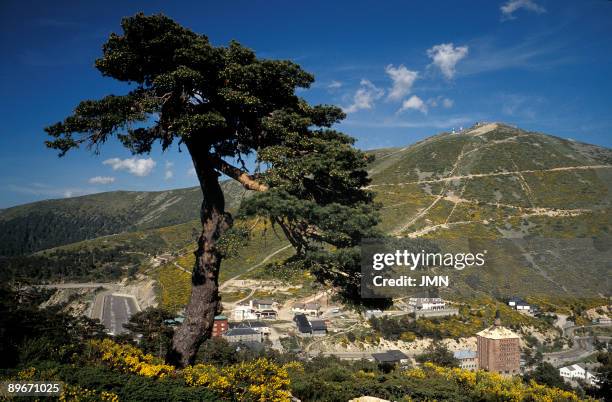 Sierra noroeste madrid