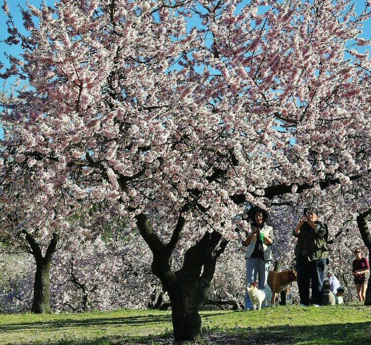 Best recreational establishments in the Usera neighborhood (Madrid)