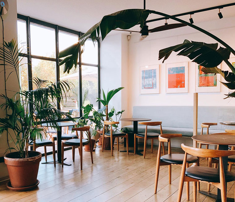 Mejores cafeterías con repostería artesanal y casera de Zaragoza