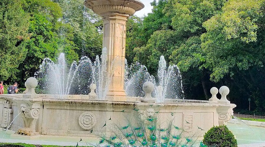 Best family-friendly recreational establishments in Valladolid