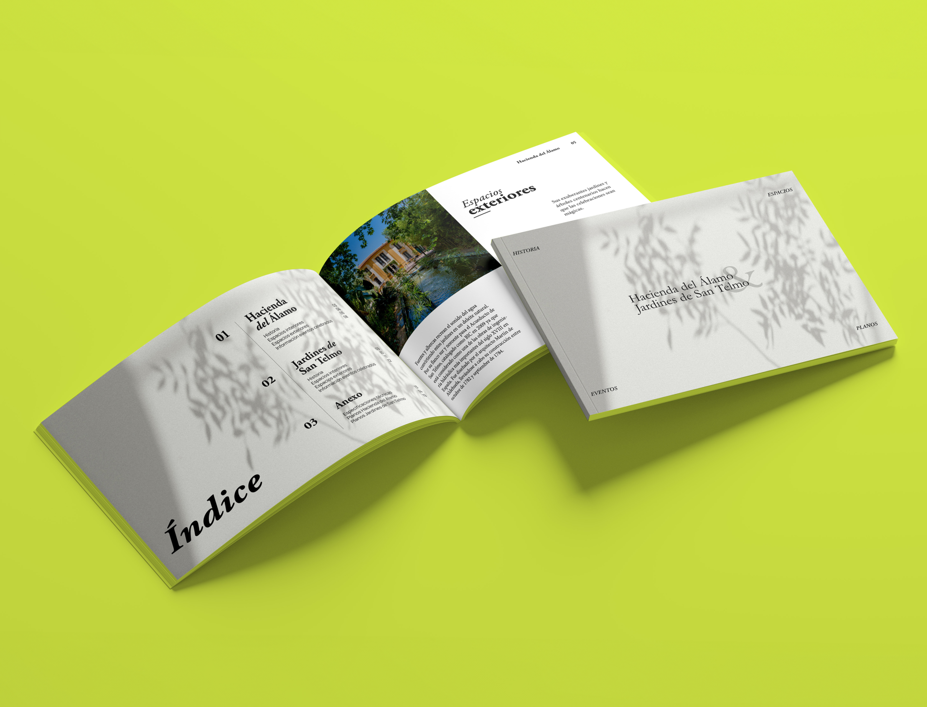 Best Minimalist and Functional Website Designs in Madrid
