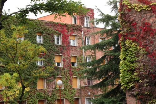 mejor residencia universitaria en el campus de la Complutense