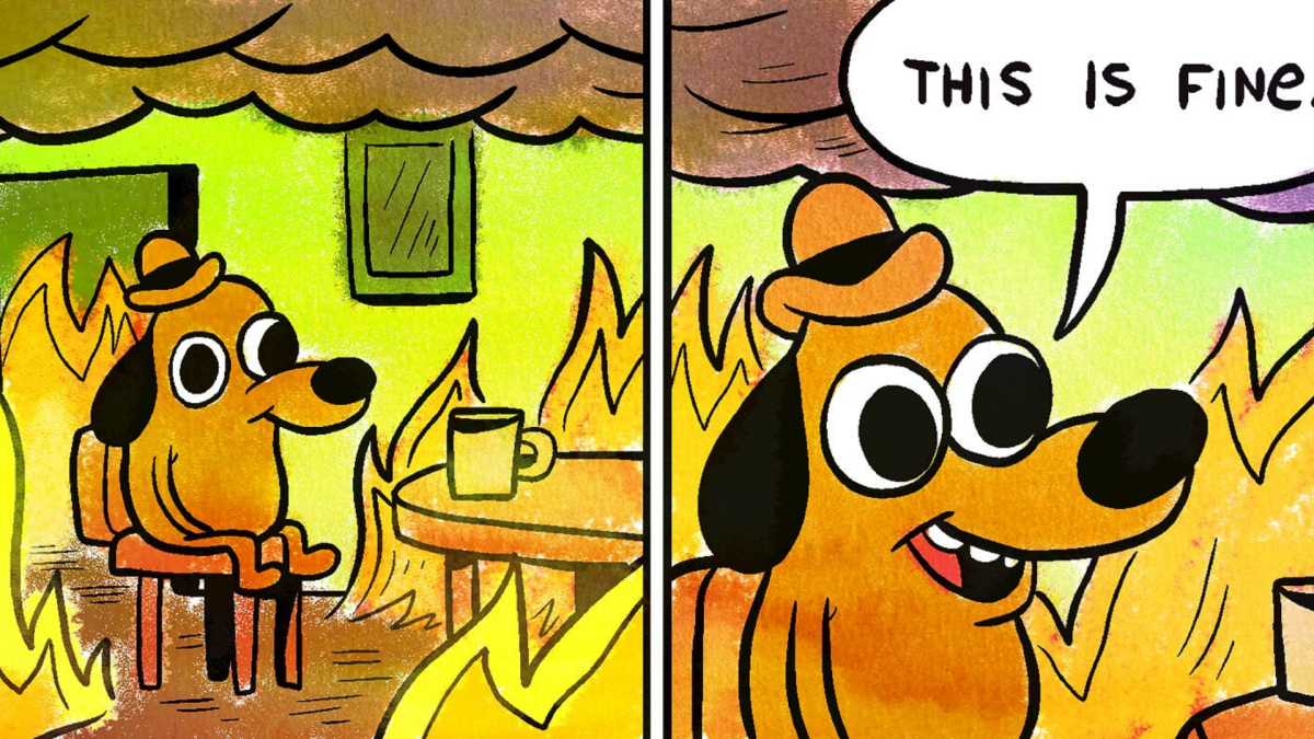 Best viral memes of the decade