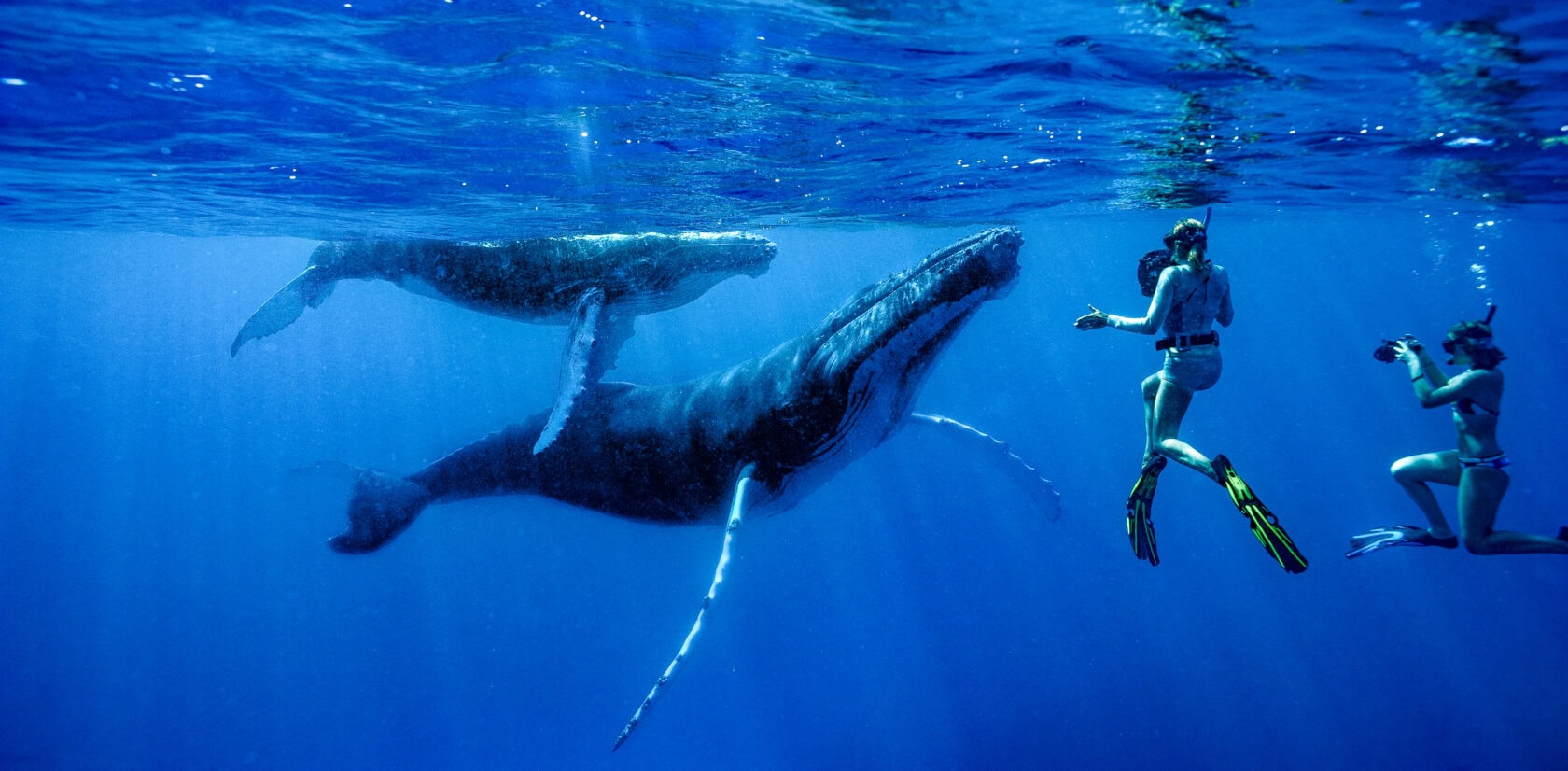 Essential natural destinations for adventure lovers