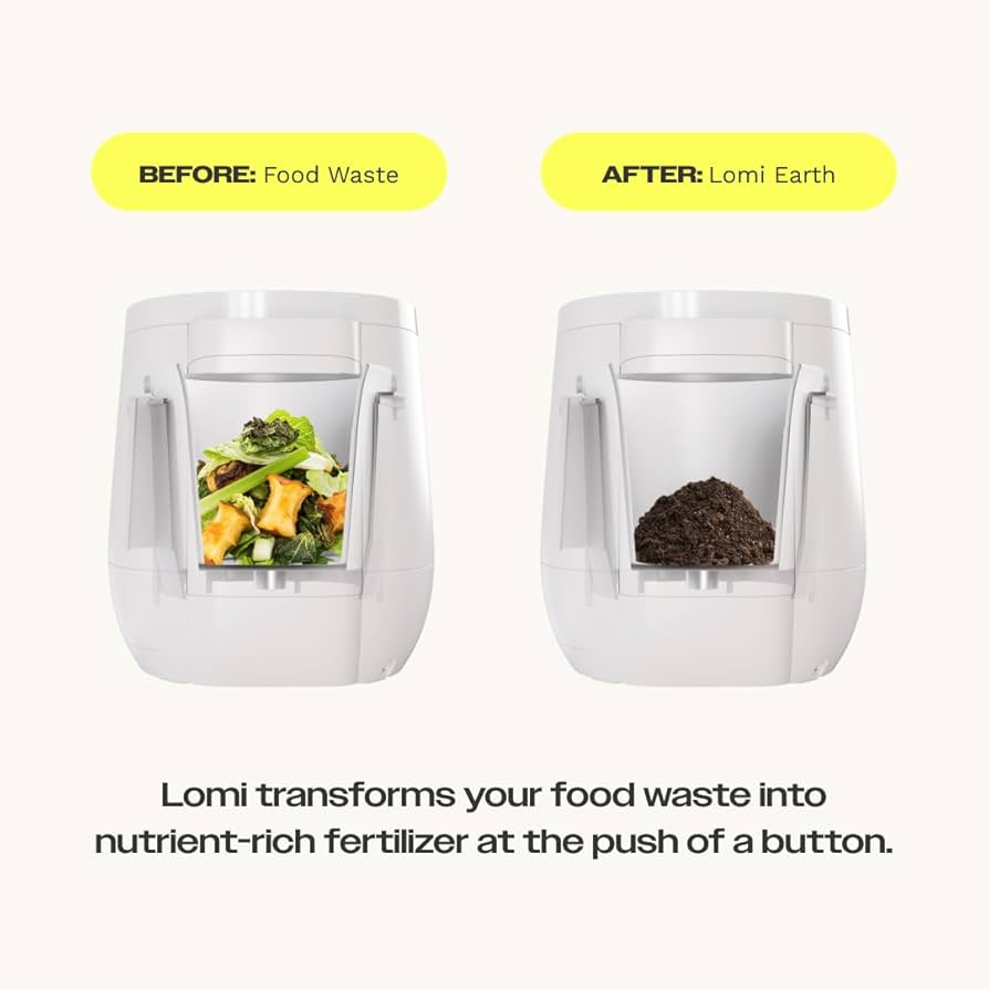 Sustainable appliances for an eco-friendly kitchen