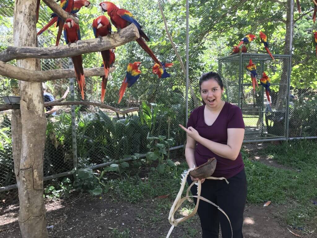 Mejores programas de voluntariado ambiental en Costa Rica
