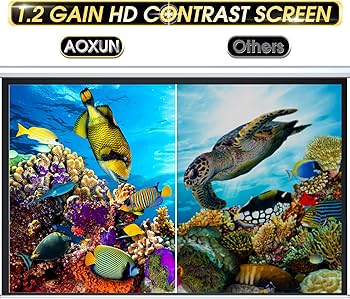 Best motorized projection screens for the home