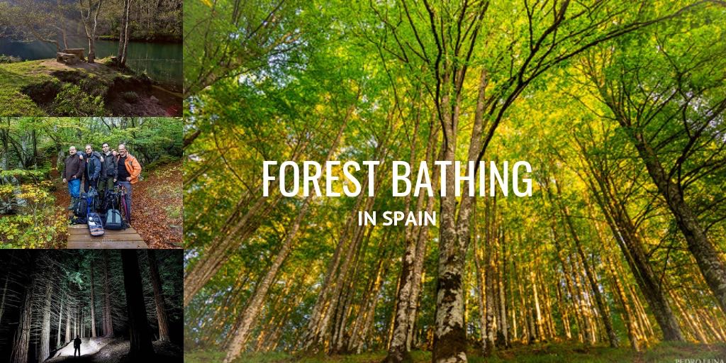Mejores experiencias de conexión con la naturaleza en España